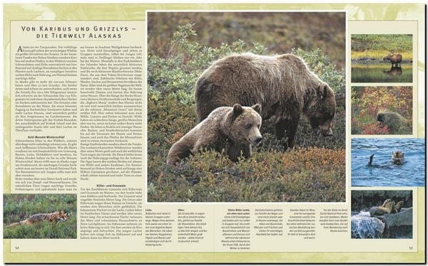 Produktbild: Reise durch Alaska