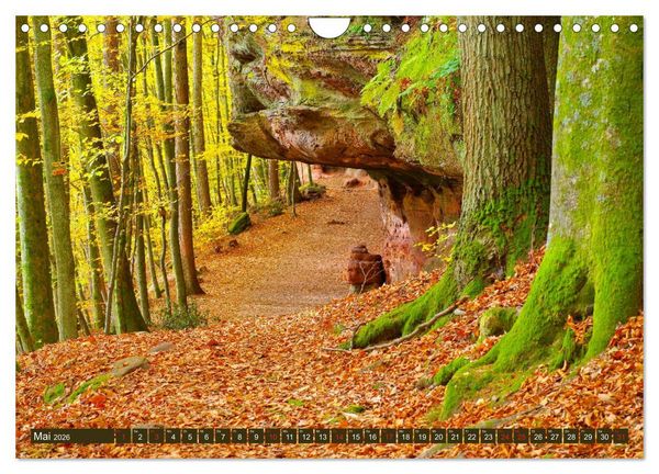 Produktbild: Der Altschlossfelsen - Gr&ouml;&szlig;te Felsformation der Pfalz im herbstlichen Farbspiel (Wandkalender 2026 DIN A4 quer), CALVENDO Monatskalender