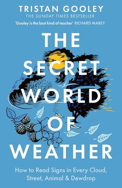Produktbild: The Secret World of Weather