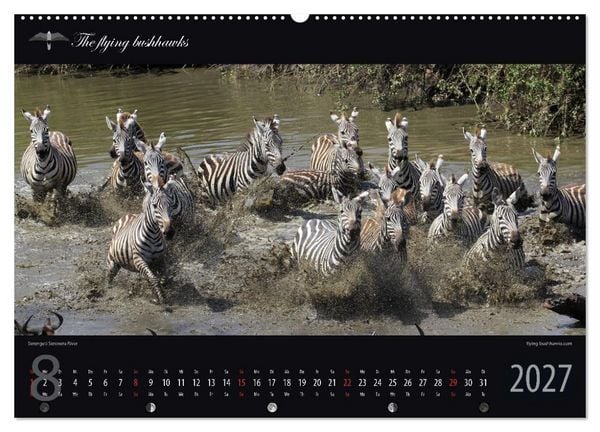 Produktbild: Tansania Blickwinkel 2027 (hochwertiger Premium Wandkalender 2027 DIN A2 quer), Kunstdruck in Hochglanz
