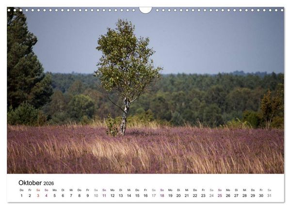 Produktbild: L&uuml;neburger Heide (Wandkalender 2026 DIN A3 quer), CALVENDO Monatskalender