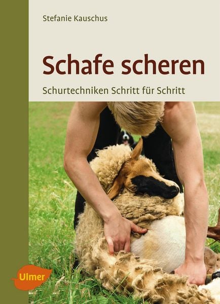 Produktbild: Schafe scheren