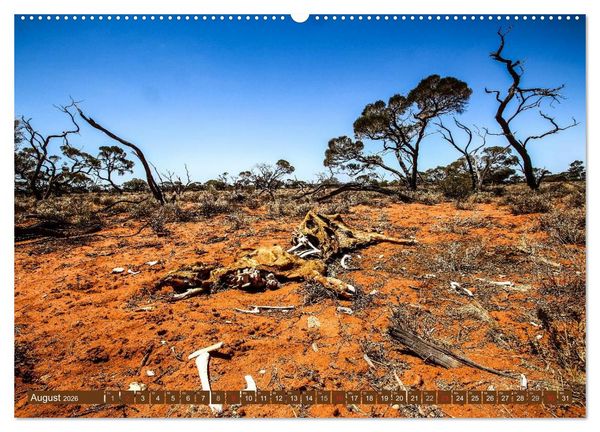 Produktbild: Outback Life - Australien (Wandkalender 2026 DIN A2 quer), CALVENDO Monatskalender