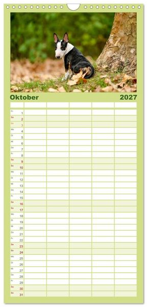 Produktbild: Familienplaner 2027 - Einmal Bullterrier - immer Bullterrier mit 5 Spalten (Wandkalender, 21 x 45 cm) CALVENDO