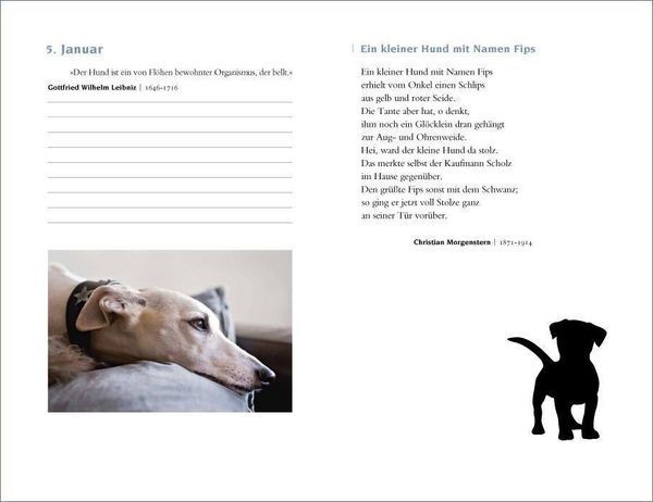 Produktbild: Mit Hunden durch das Jahr