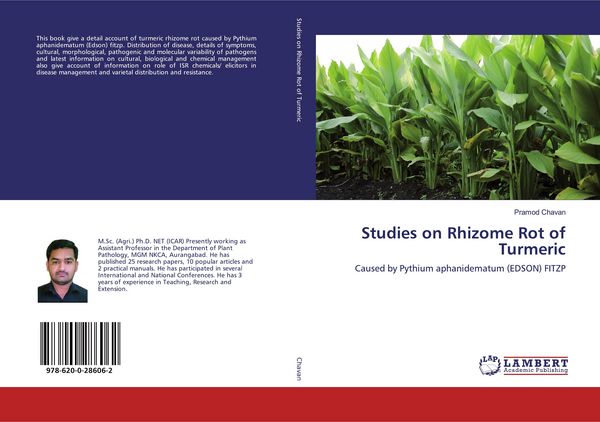 Produktbild: Studies on Rhizome Rot of Turmeric