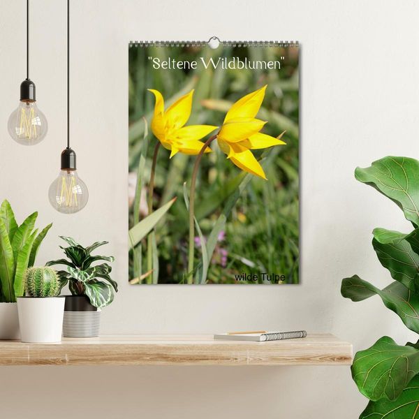 Produktbild: Seltene Wildblumen (Wandkalender 2026 DIN A3 hoch), CALVENDO Monatskalender
