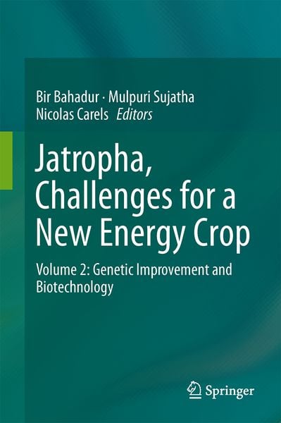Produktbild: Jatropha, Challenges for a New Energy Crop