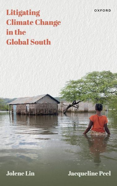 Produktbild: Litigating Climate Change in the Global South