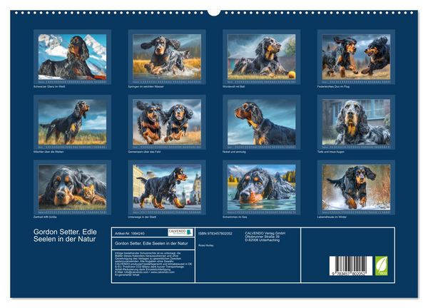 Produktbild: Gordon Setter. Edle Seelen in der Natur (hochwertiger Premium Wandkalender 2026 DIN A2 quer), Kunstdruck in Hochglanz