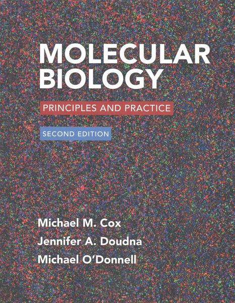 Produktbild: Molecular Biology Principles &