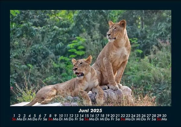Produktbild: Bilder aus der Natur 2025 Fotokalender DIN A5