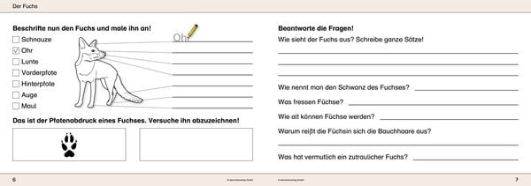 Produktbild: Ich kenne Waldtiere - Sch&uuml;lerarbeitsheft f&uuml;r die 2. bis 4. Klasse