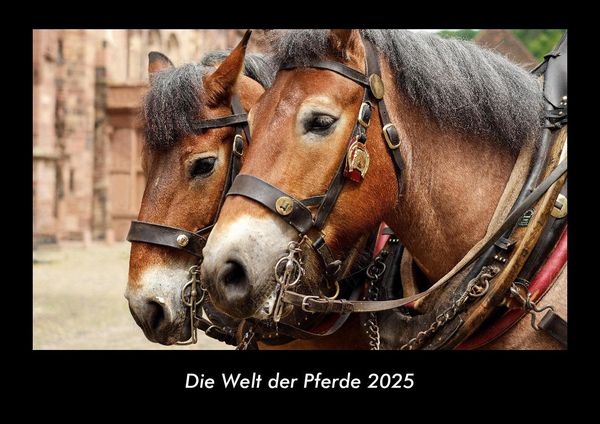 Die Welt der Pferde 2025 Fotokalender DIN A3