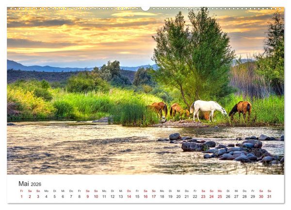 Produktbild: Freiheitsliebende Wildpferde (Wandkalender 2026 DIN A2 quer), CALVENDO Monatskalender
