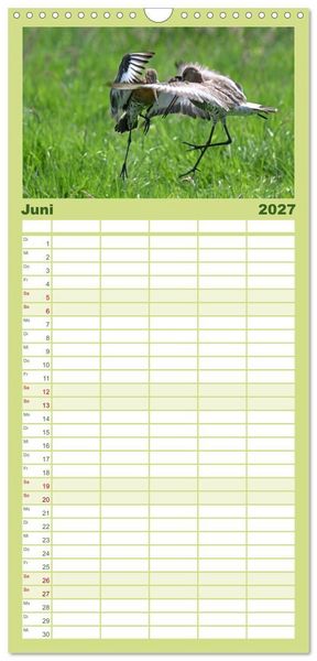Produktbild: Familienplaner 2027 - Die bedrohten Uferschnepfen mit 5 Spalten (Wandkalender, 21 x 45 cm) CALVENDO