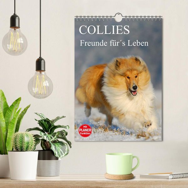 Produktbild: Collies - Freunde f&uuml;r&acute;s Leben (Wandkalender 2026 DIN A4 hoch), CALVENDO Monatskalender
