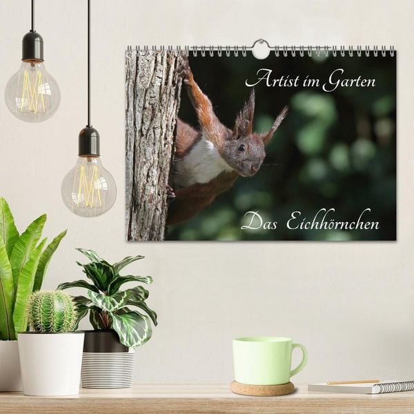 Produktbild: Artist im Garten. Das Eichh&ouml;rnchen (Wandkalender 2026 DIN A4 quer), CALVENDO Monatskalender