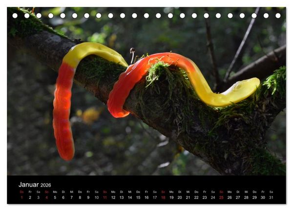 Produktbild: Die Welt der Fruchtgummis (Tischkalender 2026 DIN A5 quer), CALVENDO Monatskalender