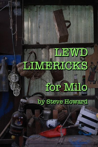 Produktbild: Lewd Limericks for Milo