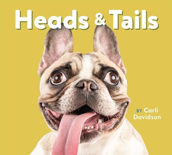 Produktbild: Heads & Tails