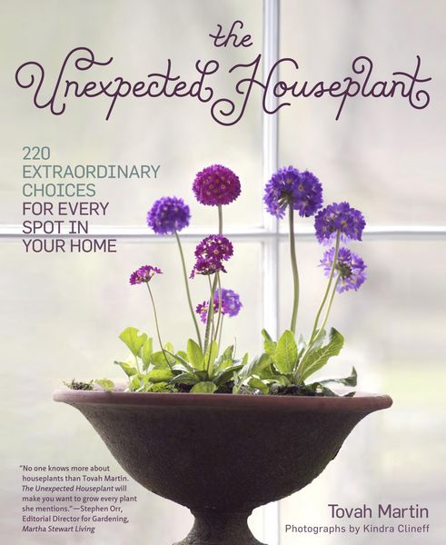 Produktbild: The Unexpected Houseplant