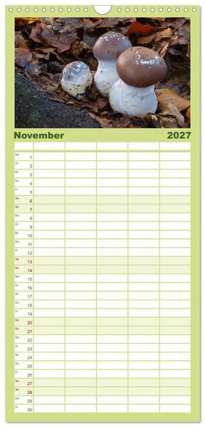 Produktbild: Familienplaner 2027 - Pilzkalender mit 5 Spalten (Wandkalender, 21 x 45 cm) CALVENDO