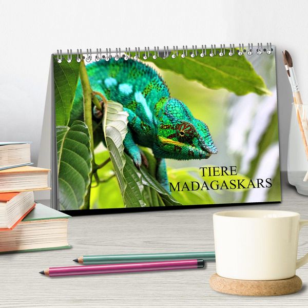 Produktbild: Tiere Madagaskars (Tischkalender 2026 DIN A5 quer), CALVENDO Monatskalender