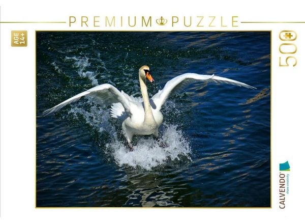 CALVENDO Puzzle Schwanen Surfen | 500 Teile Lege-Größe 48 × 36 cm Foto-Puzzle für Erwachsene