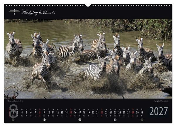Produktbild: Tansania Blickwinkel 2027 (Wandkalender 2027 DIN A2 quer), CALVENDO Monatskalender