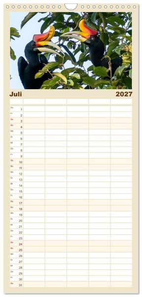 Produktbild: Familienplaner 2027 - Zwischen Nebel und Baumriesen - V&ouml;gel Borneos mit 5 Spalten (Wandkalender, 21 x 45 cm) CALVENDO