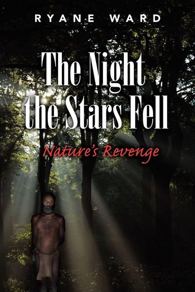 Produktbild: The Night the Stars Fell