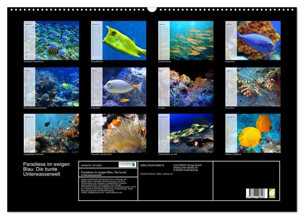 Produktbild: Paradiese im ewigen Blau. Die bunte Unterwasserwelt (Wandkalender 2026 DIN A2 quer), CALVENDO Monatskalender