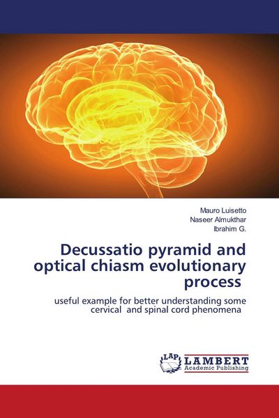 Produktbild: Decussatio pyramid and optical chiasm evolutionary process
