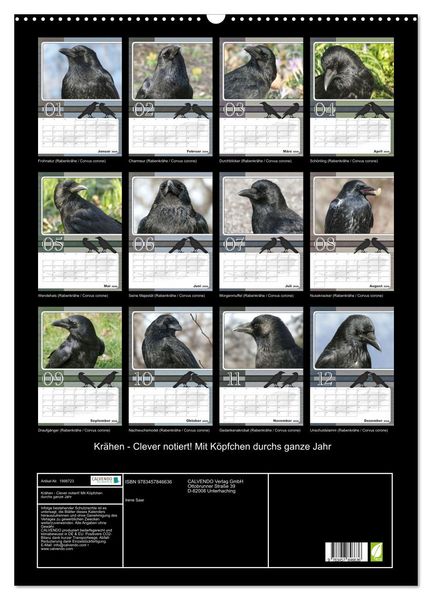 Produktbild: Kr&auml;hen - Clever notiert! Mit K&ouml;pfchen durchs ganze Jahr (Wandkalender 2026 DIN A2 hoch), CALVENDO Monatskalender