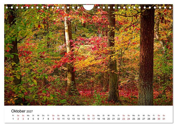 Produktbild: Naturwunder Stettiner Haff (Wandkalender 2027 DIN A4 quer), CALVENDO Monatskalender