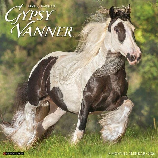 Produktbild: Gypsy Vanner Horse 2026 Wall Calendar