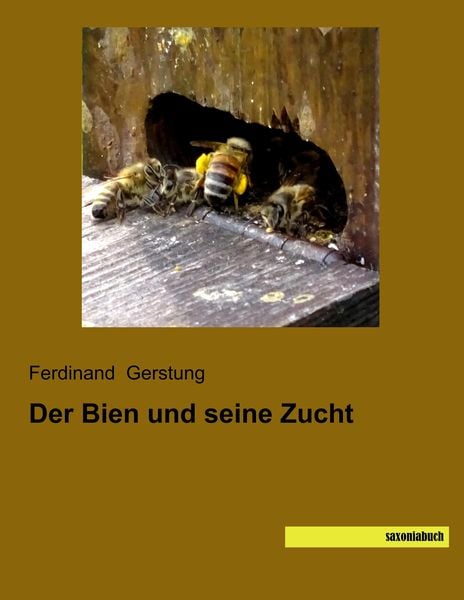 Der Bien und seine Zucht, Taschenbuch von Ferdinand Gerstung, Saxoniabuch.de, 9783957705761