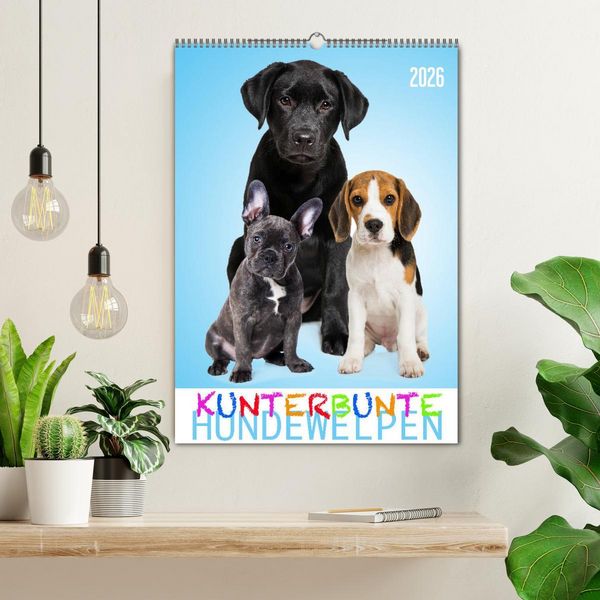 Produktbild: Kunterbunte Hundewelpen (Wandkalender 2026 DIN A2 hoch), CALVENDO Monatskalender