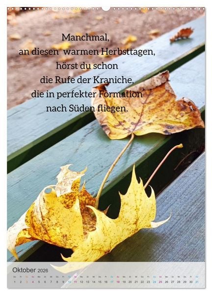 Produktbild: Manchmal - Poetische Momentaufnahmen (Wandkalender 2026 DIN A2 hoch), CALVENDO Monatskalender