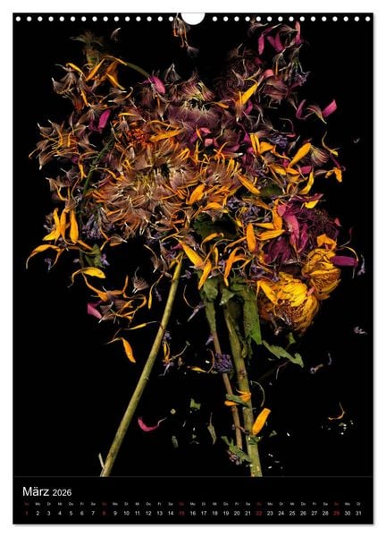 Produktbild: Blumen bei Nacht (Wandkalender 2026 DIN A3 hoch), CALVENDO Monatskalender