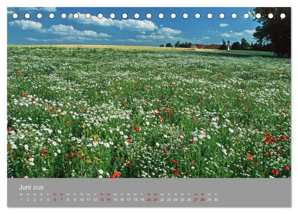 Produktbild: Hallertau (Tischkalender 2026 DIN A5 quer), CALVENDO Monatskalender
