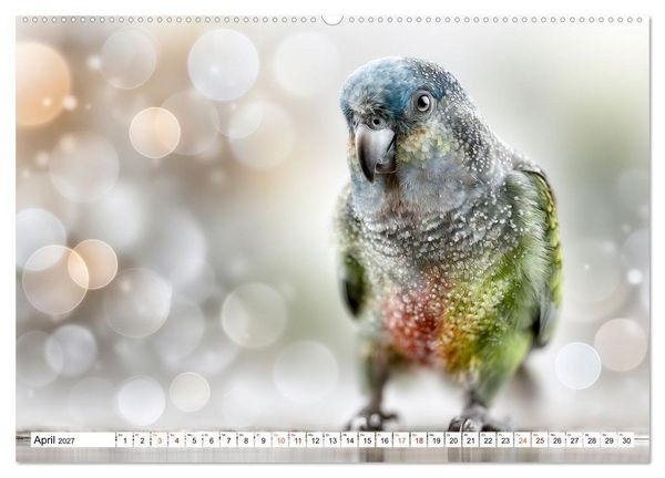 Produktbild: Lichtperlen (hochwertiger Premium Wandkalender 2027 DIN A2 quer), Kunstdruck in Hochglanz