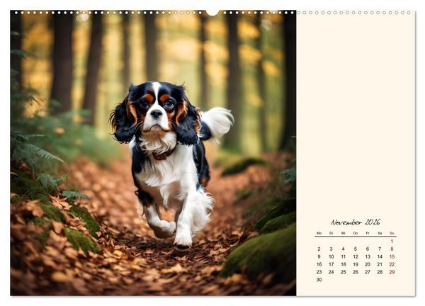 Produktbild: Goldige Kavalier King Charles Spaniels (hochwertiger Premium Wandkalender 2026 DIN A2 quer), Kunstdruck in Hochglanz