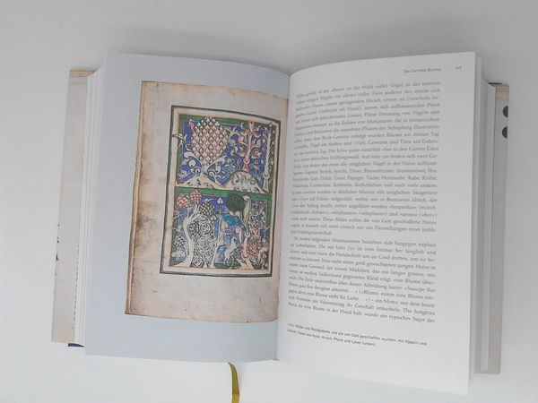Produktbild: Pracht und Anmut
