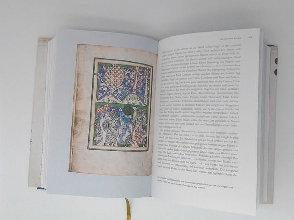 Produktbild: Pracht und Anmut