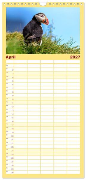 Produktbild: Familienplaner 2027 - Puffins - Papageientaucher auf Island mit 5 Spalten (Wandkalender, 21 x 45 cm) CALVENDO