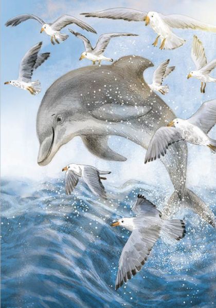 Produktbild: Wunderwelt der Tiere im Meer - Gelesen von Jakob Graf