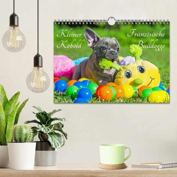 Produktbild: Kleiner Kobold Franz&ouml;sische Bulldogge (Wandkalender 2026 DIN A4 quer), CALVENDO Monatskalender