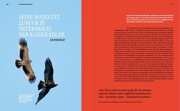 Produktbild: Unsere Vogelwelt